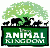 animal.gif