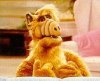 alf06.jpg