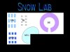 snow lab.jpg