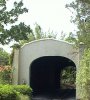 tunnel.jpg