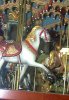horse.jpg