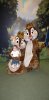 disneyphotoimage60.jpg