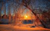 41585-amazing-winter-sunset-1280x800-nature-wallpa.jpg