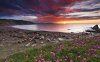 48403-superb-sunset-on-the-ocean-beach-1280x800-na.jpg