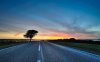 24010-roadside-tree-at-sunset-1280x800-world-wallp.jpg