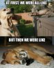 cute-funny-dog-meme-35(2).jpg