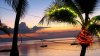 light-in-a-palm-tree-at-sunset-48260-1920x1080.jpg