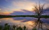 29231-tree-by-the-water-1280x800-nature-wallpaper.jpg