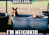 5Neighkid-1(1).jpg