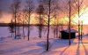 32102-winter-sunrise-1280x800-nature-wallpaper-1.jpg