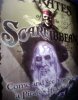 db_PiratesOfTheScareibbean_poster1.jpeg