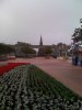epcotree_12nov_photo.jpg