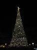 IMG_0725.JPG