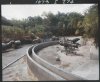 WDW274web.jpg