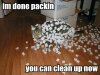 Im-done-packing-you-can-clean-up-now-FUNNY-CAT(1).jpg