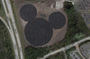 hidden Mickey field.png