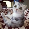 tumblr_ony8wmPT2U1u8rtwro7_540.jpg