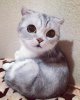 tumblr_ony8wmPT2U1u8rtwro9_540.jpg
