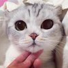 tumblr_ony8wmPT2U1u8rtwro10_540.jpg