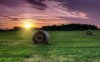 50725-purple-sunset-sky-above-the-hay-bales-1280x8.jpg