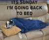 21BackToBed(1).jpg
