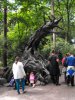 DSCF5441.JPG