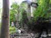 DSCF5445.JPG