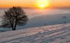 38356-winter-sunset-above-the-foggy-tree-1280x00-.jpg