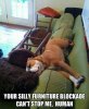 Funny-Animal-Pictures-1-1(1).jpg