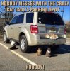 FB_IMG_1503092097264.jpg
