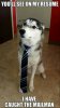funny-animals-424(1).jpg