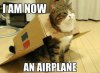 Top-30-Funny-Cat-Memes-Hilarious.jpg