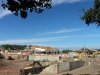 DSC00415.jpg
