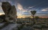 48240-rounded-rocks-in-joshua-tree-national-park.jpg