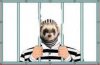 upload_2017-8-30_5-45-39.jpeg