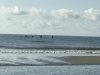 IMG_2423.JPG