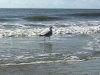 IMG_2425.JPG