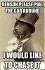 oldmoneydog8.jpg