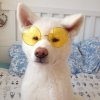 tumblr_ot16x4kbzM1wp1cjso2_540.jpg