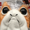 PORG.png