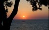 34319-boat-cruising-at-sunset-1280x800-nature-wall.jpg