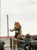 IMG_0126.JPG