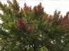 IMG_0110.JPG