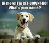 Funny-Dogs-quoetes-31(2).jpg