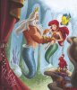 The-Little-Mermaid-the-little-mermaid-16432468-480.jpg