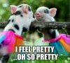 funny-pictures-pigs-W630-1(2).jpg