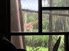 BD96D20F-B37C-485B-8F3E-46C045023CD3.jpeg