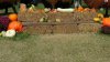 DSC02279.JPG