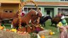 DSC02278.JPG