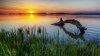 log-in-the-water-41640-1920x1080.jpg